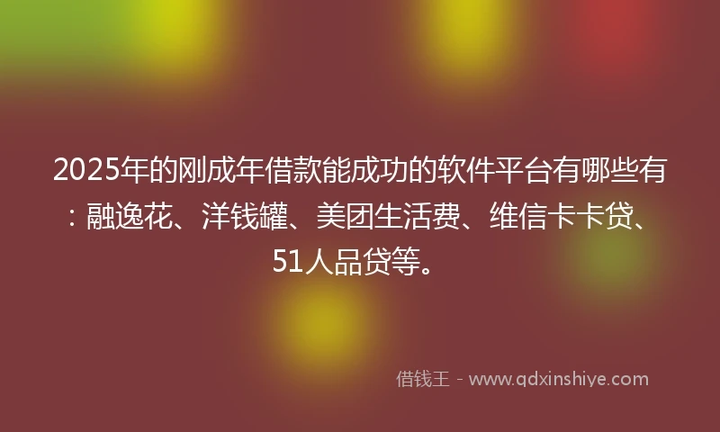 2025年的刚成年借款能成功的软件平台有哪些有：融逸花、洋钱罐、美团生活费、维信卡卡贷、51人品贷等。