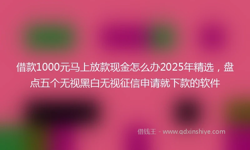 借款1000元马上放款现金怎么办2025年精选，盘点五个无视黑白无视征信申请就下款的软件