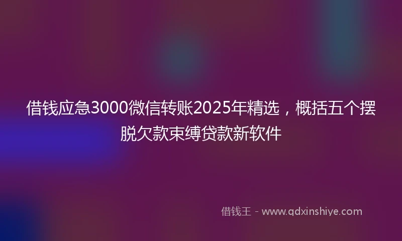 借钱应急3000微信转账2025年精选，概括五个摆脱欠款束缚贷款新软件