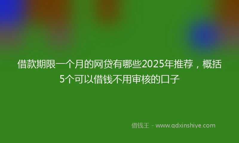 借款期限一个月的网贷有哪些2025年推荐，概括5个可以借钱不用审核的口子