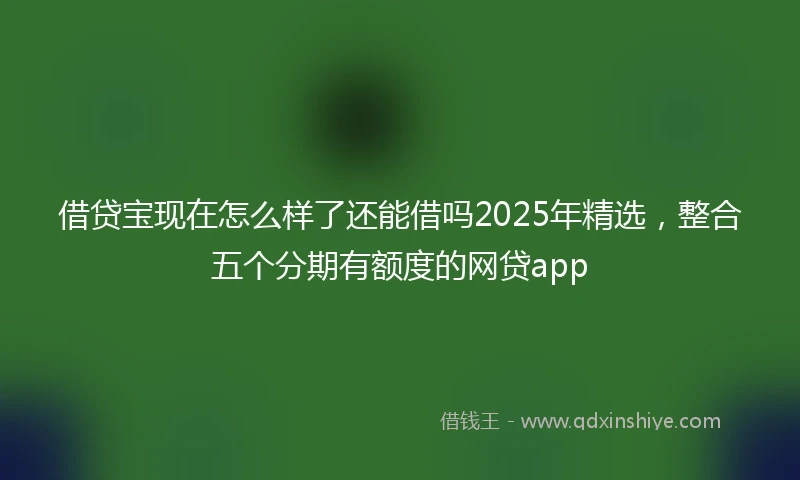 借贷宝现在怎么样了还能借吗2025年精选，整合五个分期有额度的网贷app