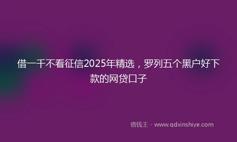 借一千不看征信2025年精选，罗列五个黑户好下款的网贷口子