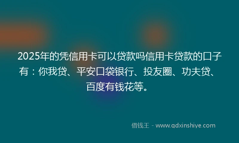 2025年的凭信用卡可以贷款吗信用卡贷款的口子有：你我贷、平安口袋银行、投友圈、功夫贷、百度有钱花等。