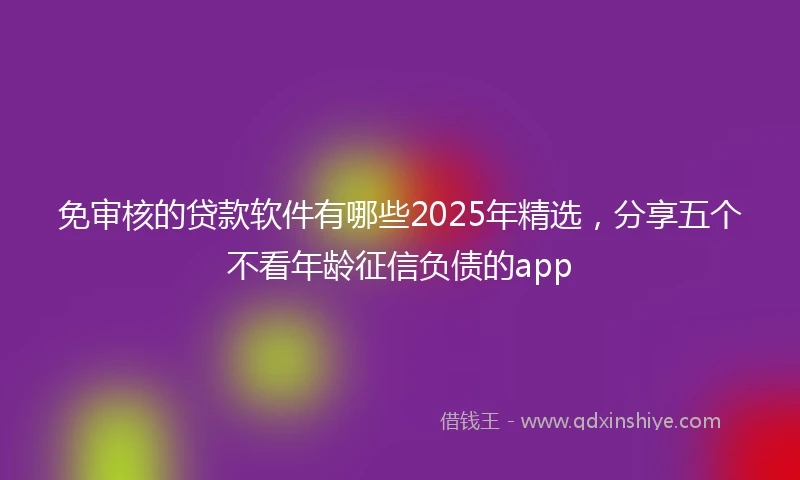 免审核的贷款软件有哪些2025年精选，分享五个不看年龄征信负债的app