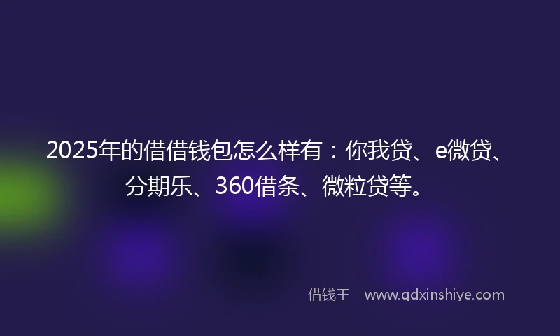2025年的借借钱包怎么样有：你我贷、e微贷、分期乐、360借条、微粒贷等。