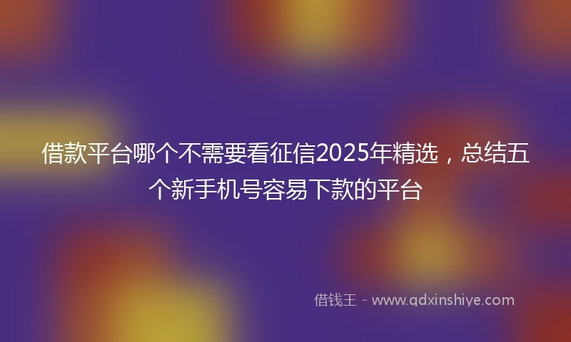 借款平台哪个不需要看征信2025年精选，总结五个新手机号容易下款的平台