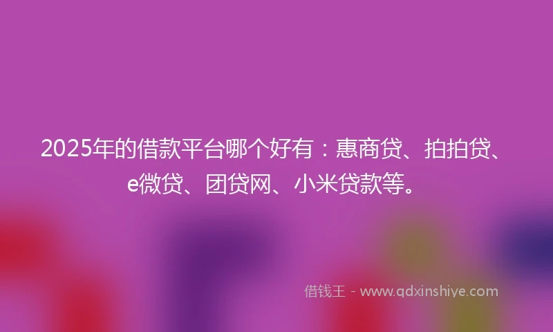 2025年的借款平台哪个好有：惠商贷、拍拍贷、e微贷、团贷网、小米贷款等。