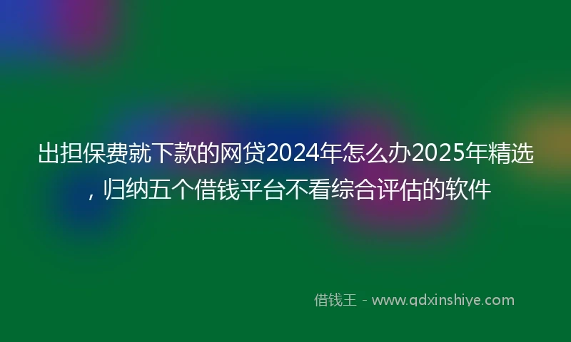 出担保费就下款的网贷2024年怎么办2025年精选，归纳五个借钱平台不看综合评估的软件