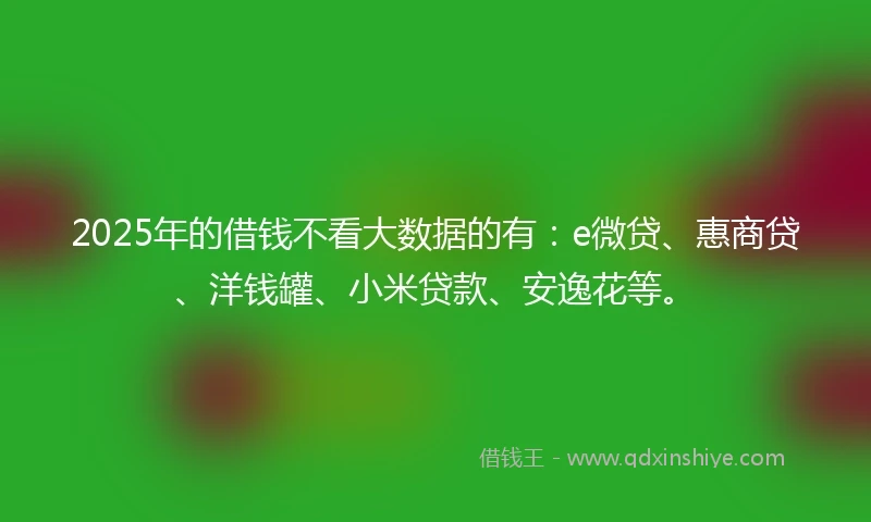 2025年的借钱不看大数据的有：e微贷、惠商贷、洋钱罐、小米贷款、安逸花等。
