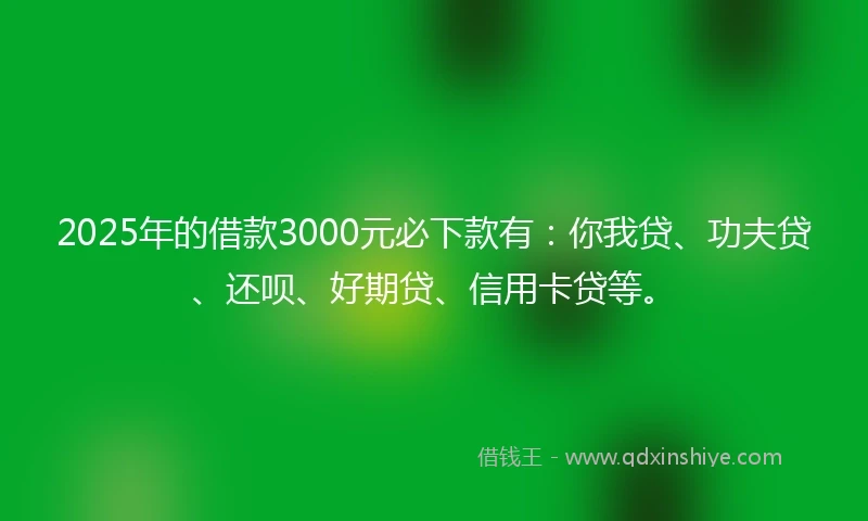 2025年的借款3000元必下款有：你我贷、功夫贷、还呗、好期贷、信用卡贷等。