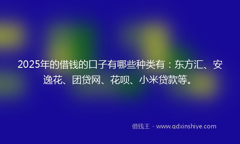 2025年的借钱的口子有哪些种类有：东方汇、安逸花、团贷网、花呗、小米贷款等。