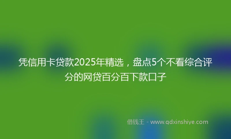 凭信用卡贷款2025年精选，盘点5个不看综合评分的网贷百分百下款口子