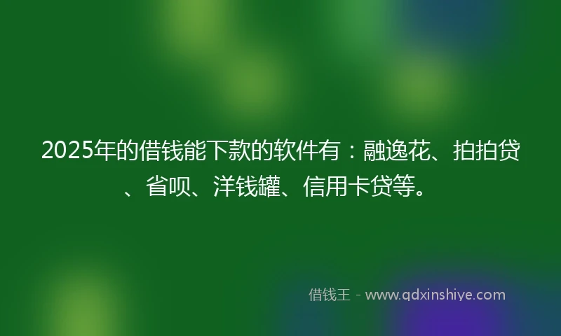 2025年的借钱能下款的软件有：融逸花、拍拍贷、省呗、洋钱罐、信用卡贷等。