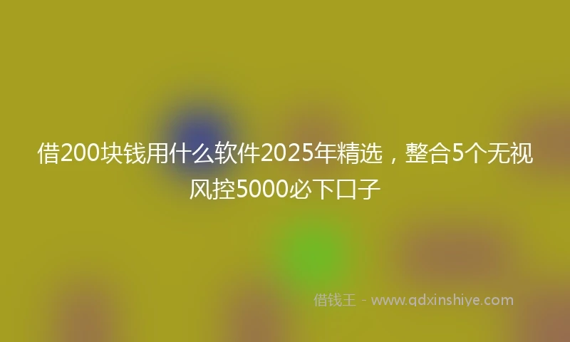 借200块钱用什么软件2025年精选，整合5个无视风控5000必下口子