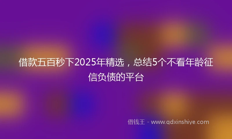 借款五百秒下2025年精选，总结5个不看年龄征信负债的平台