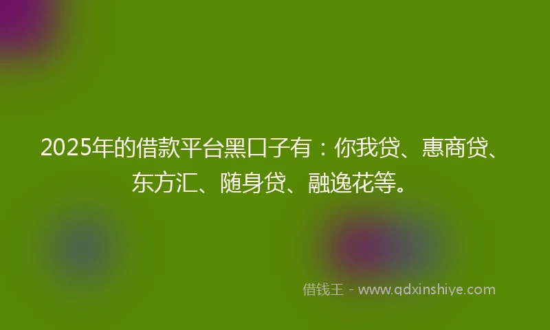 2025年的借款平台黑口子有：你我贷、惠商贷、东方汇、随身贷、融逸花等。