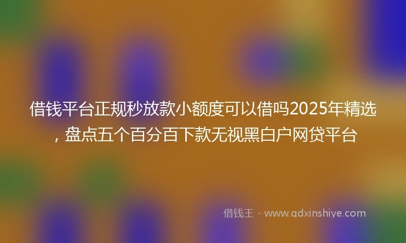 借钱平台正规秒放款小额度可以借吗2025年精选，盘点五个百分百下款无视黑白户网贷平台