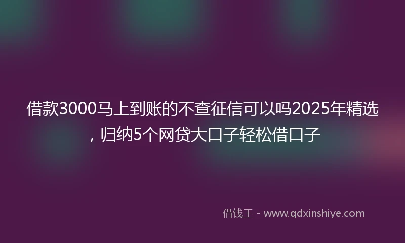 借款3000马上到账的不查征信可以吗2025年精选，归纳5个网贷大口子轻松借口子