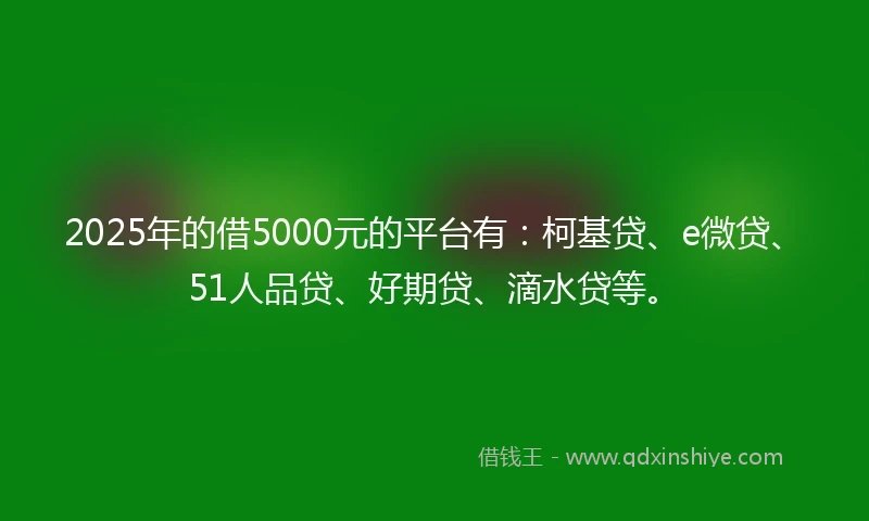 2025年的借5000元的平台有：柯基贷、e微贷、51人品贷、好期贷、滴水贷等。