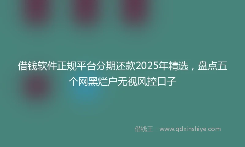 借钱软件正规平台分期还款2025年精选，盘点五个网黑烂户无视风控口子