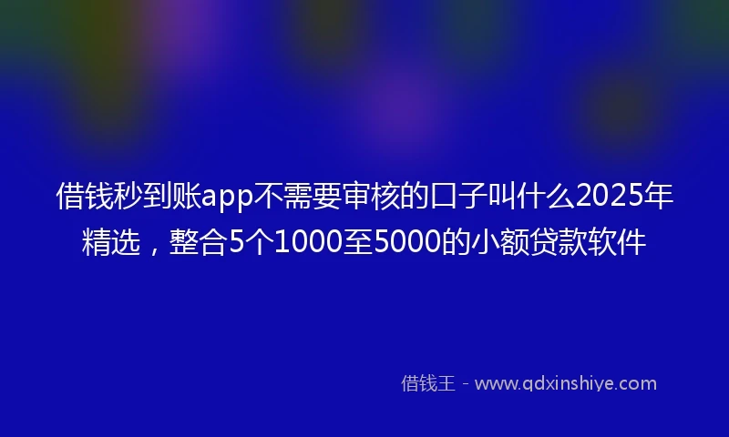 借钱秒到账app不需要审核的口子叫什么2025年精选，整合5个1000至5000的小额贷款软件