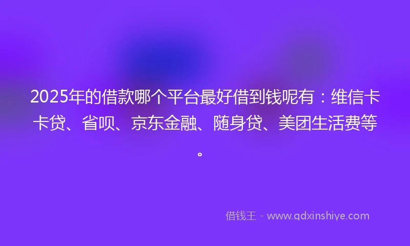 2025年的借款哪个平台最好借到钱呢有：维信卡卡贷、省呗、京东金融、随身贷、美团生活费等。