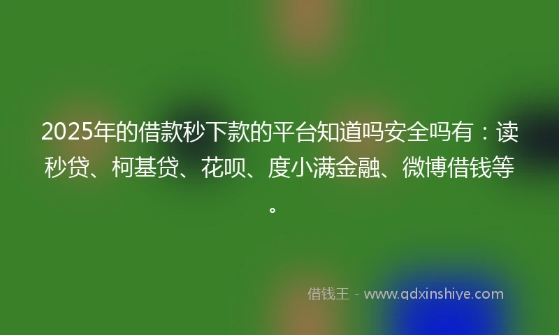 2025年的借款秒下款的平台知道吗安全吗有：读秒贷、柯基贷、花呗、度小满金融、微博借钱等。
