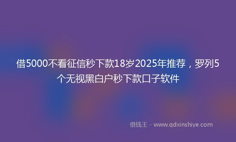 借5000不看征信秒下款18岁2025年推荐，罗列5个无视黑白户秒下款口子软件