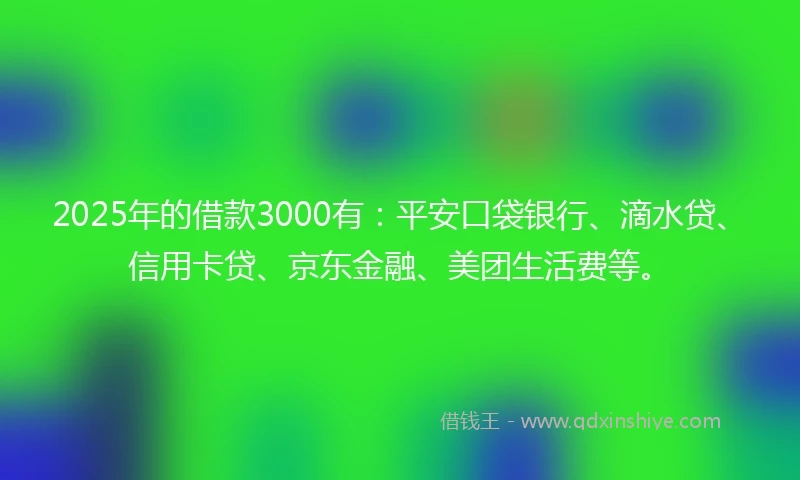 2025年的借款3000有：平安口袋银行、滴水贷、信用卡贷、京东金融、美团生活费等。