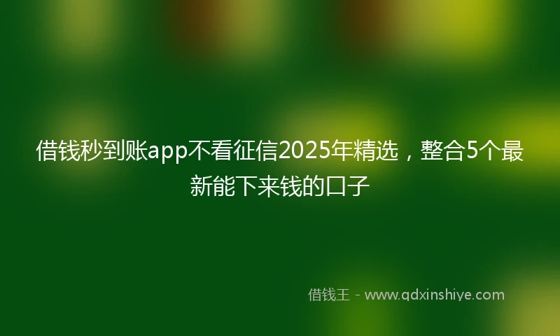 借钱秒到账app不看征信2025年精选，整合5个最新能下来钱的口子