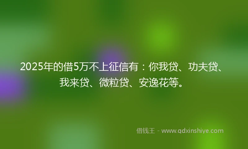2025年的借5万不上征信有：你我贷、功夫贷、我来贷、微粒贷、安逸花等。