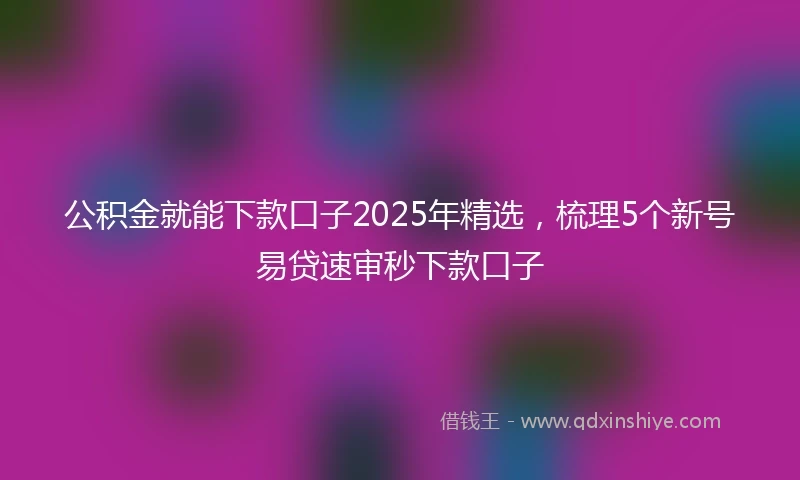 公积金就能下款口子2025年精选，梳理5个新号易贷速审秒下款口子