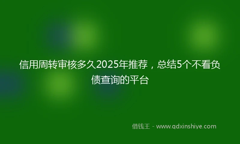 信用周转审核多久2025年推荐，总结5个不看负债查询的平台