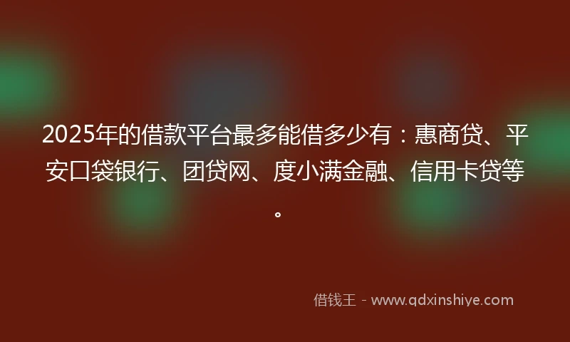 2025年的借款平台最多能借多少有：惠商贷、平安口袋银行、团贷网、度小满金融、信用卡贷等。