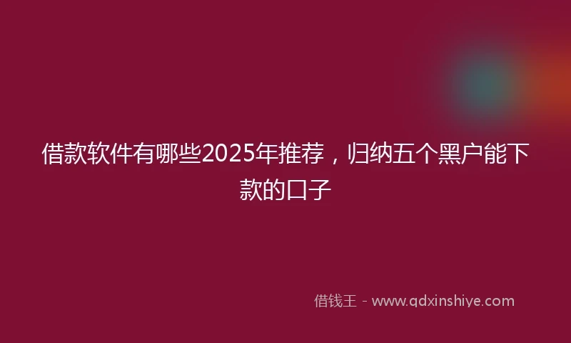 借款软件有哪些2025年推荐，归纳五个黑户能下款的口子