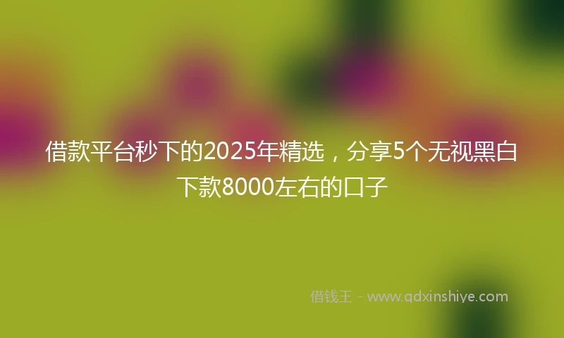 借款平台秒下的2025年精选，分享5个无视黑白下款8000左右的口子