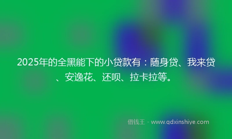 2025年的全黑能下的小贷款有：随身贷、我来贷、安逸花、还呗、拉卡拉等。