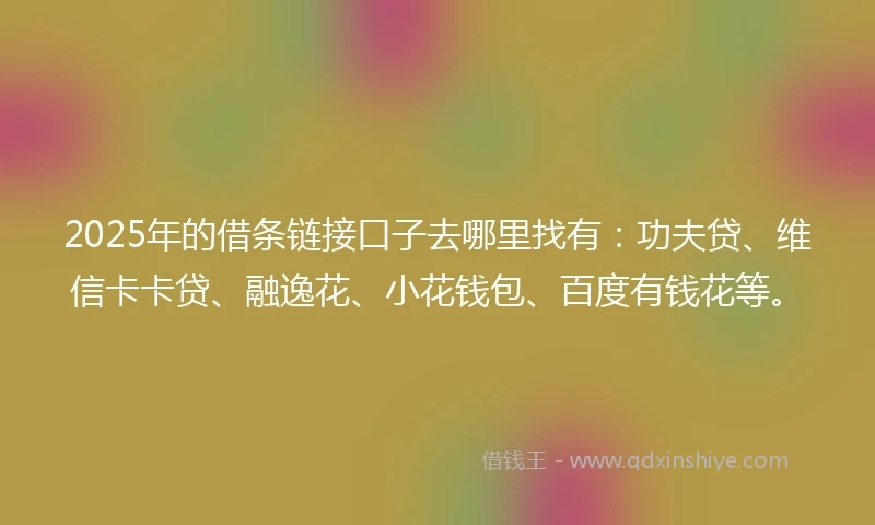 2025年的借条链接口子去哪里找有：功夫贷、维信卡卡贷、融逸花、小花钱包、百度有钱花等。