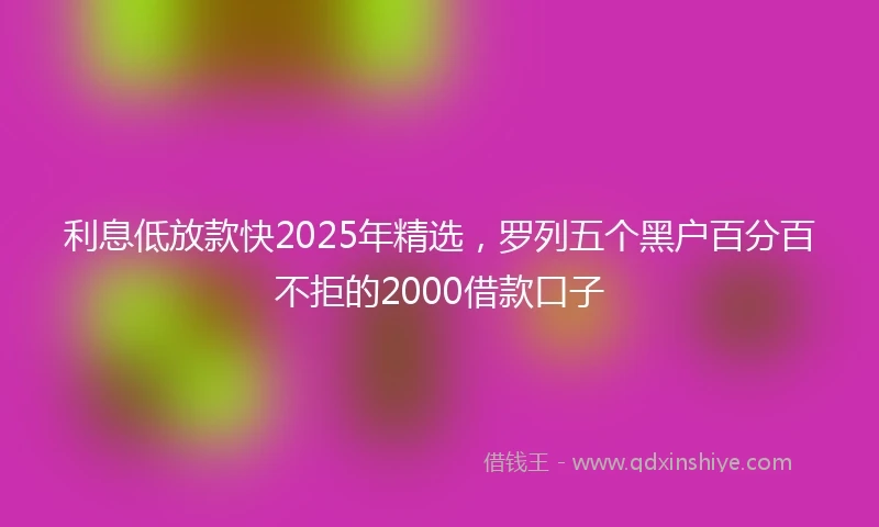 利息低放款快2025年精选，罗列五个黑户百分百不拒的2000借款口子
