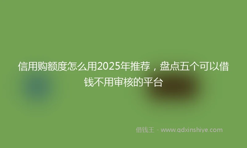 信用购额度怎么用2025年推荐，盘点五个可以借钱不用审核的平台