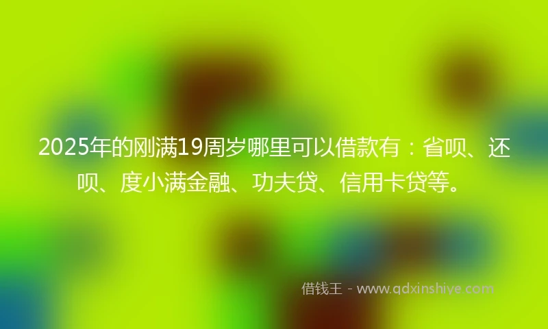 2025年的刚满19周岁哪里可以借款有：省呗、还呗、度小满金融、功夫贷、信用卡贷等。