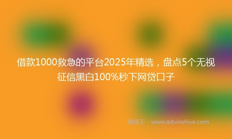 借款1000救急的平台2025年精选，盘点5个无视征信黑白100%秒下网贷口子