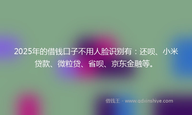 2025年的借钱口子不用人脸识别有：还呗、小米贷款、微粒贷、省呗、京东金融等。
