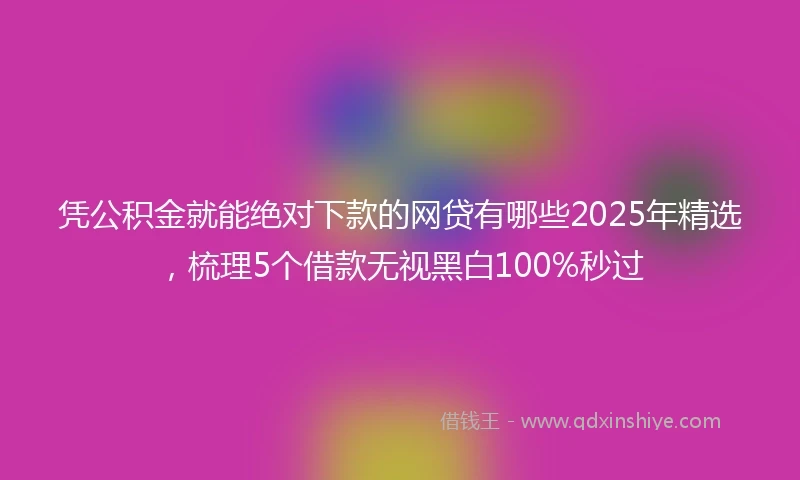 凭公积金就能绝对下款的网贷有哪些2025年精选，梳理5个借款无视黑白100%秒过