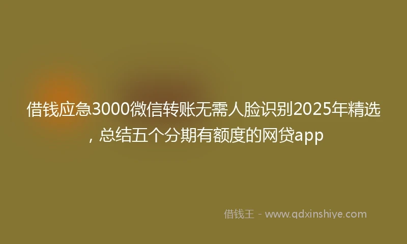 借钱应急3000微信转账无需人脸识别2025年精选，总结五个分期有额度的网贷app