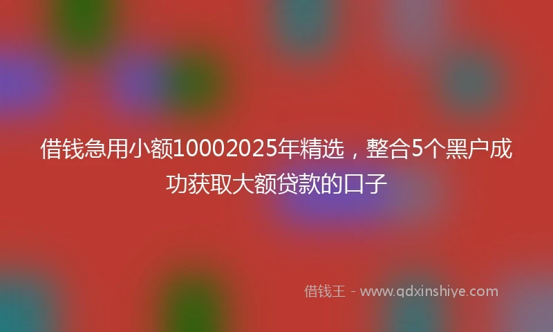 借钱急用小额10002025年精选，整合5个黑户成功获取大额贷款的口子