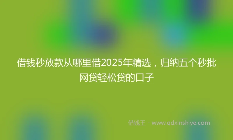 借钱秒放款从哪里借2025年精选，归纳五个秒批网贷轻松贷的口子
