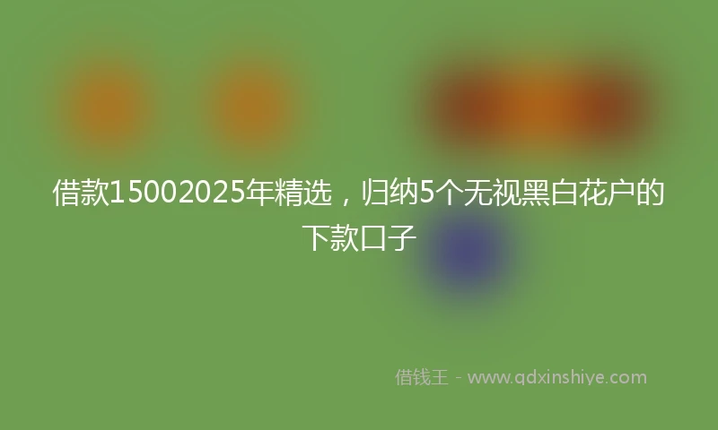 借款15002025年精选，归纳5个无视黑白花户的下款口子