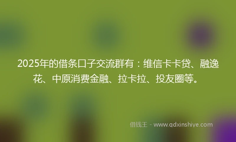 2025年的借条口子交流群有：维信卡卡贷、融逸花、中原消费金融、拉卡拉、投友圈等。