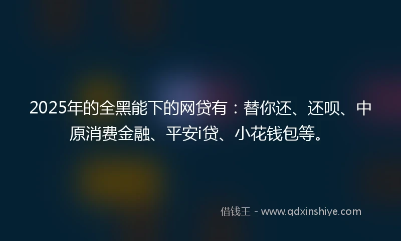 2025年的全黑能下的网贷有：替你还、还呗、中原消费金融、平安i贷、小花钱包等。